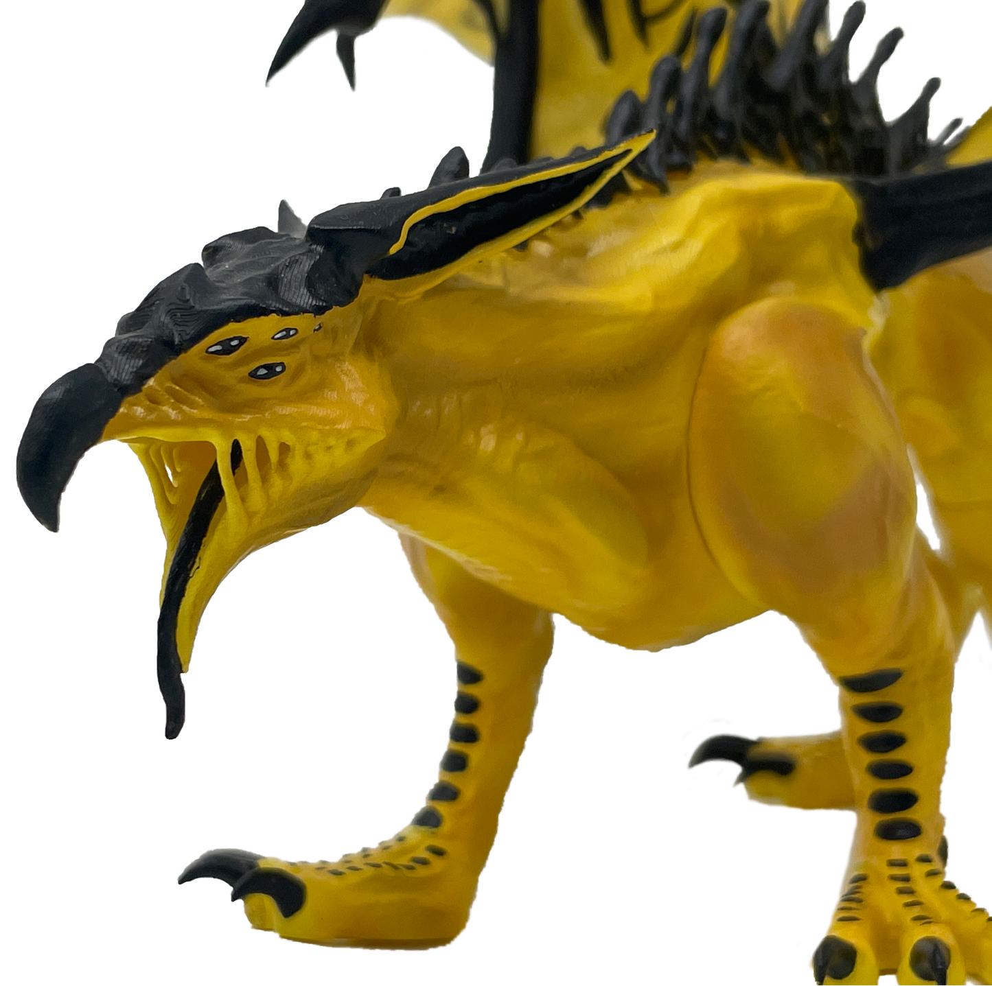 Griffixis
